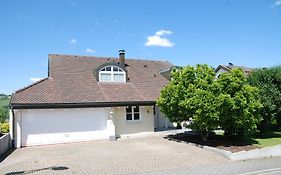 Villa am Buck Lörrach bei Basel